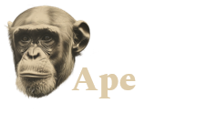 Ape